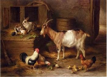 unknow artist poultry  188 France oil painting art